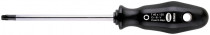 Skrutkovač TORX TX10 x 80 mm PROFI, NAREX 808810 - N1