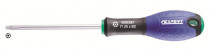 Skrutkovač TORX s otvorom, TONA EXPERT, E165397 - TT25x100 - N1