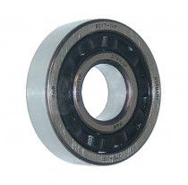 FAG BO 17-TVP guľkové ložisko - N1