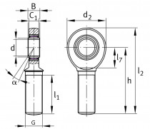 INA GAL 20-UK-2RS-A kĺbová hlavica - N1
