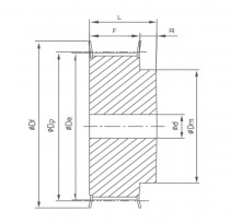 Remenica 21 5M 25 optibelt ZRS s predvŕtanou dierou - N1