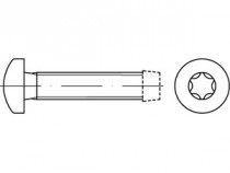 Skrutka závitotvorná TORX DIN 7500C M4x20 pozink - N1
