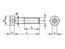 Skrutka inbus so strediacou dierou DIN 6912 M10x55-8.8 - N1